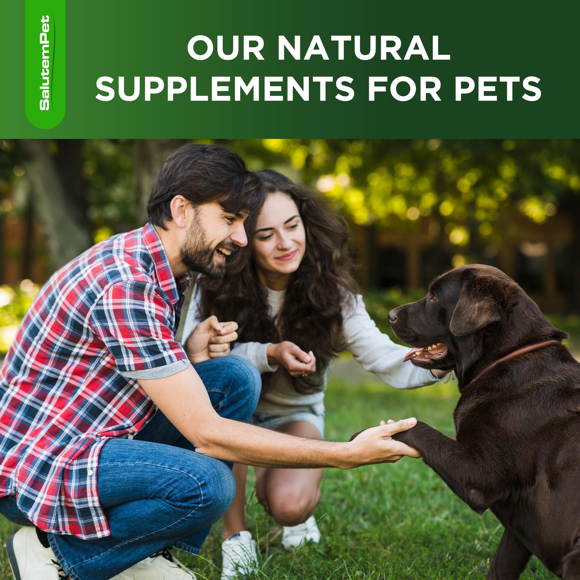 SalutemPet dog antibiotics packaging emphasizing suitability for all breeds and ages.