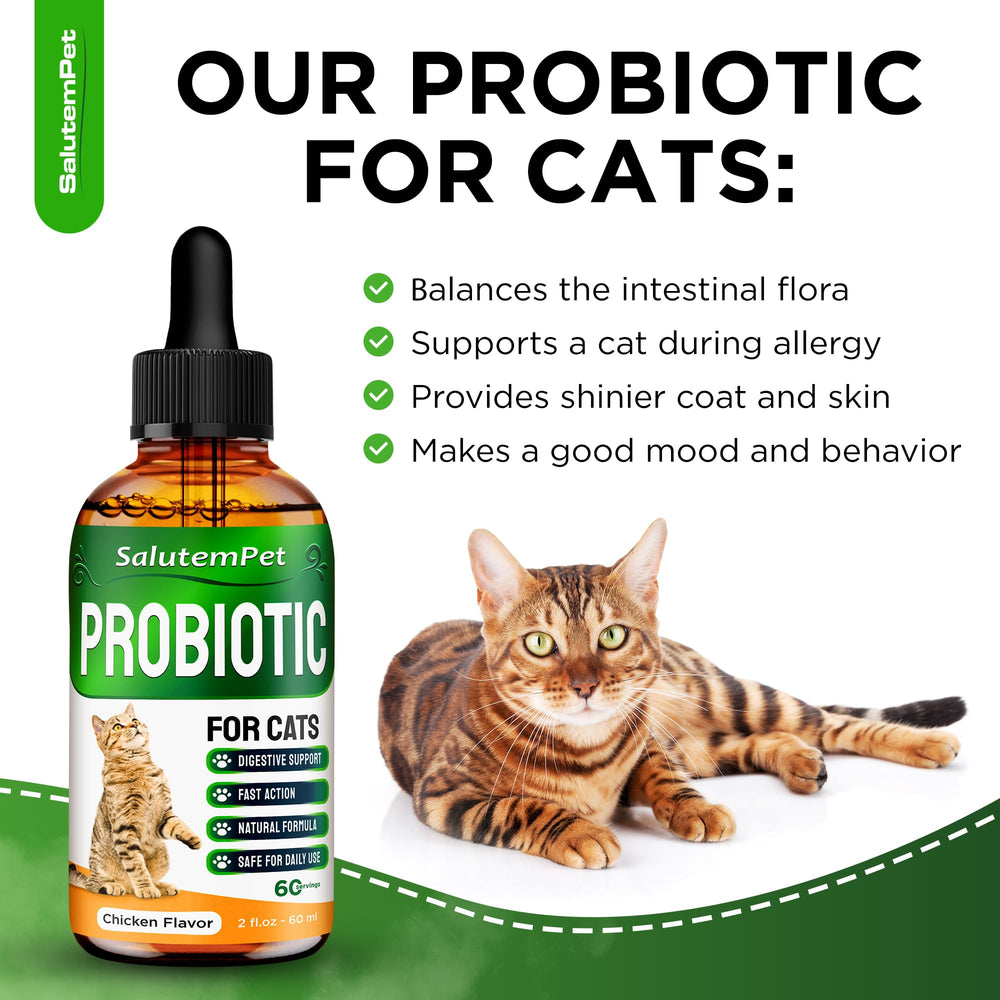 SalutemPet cat probiotics dosage and measuring dropper in action.