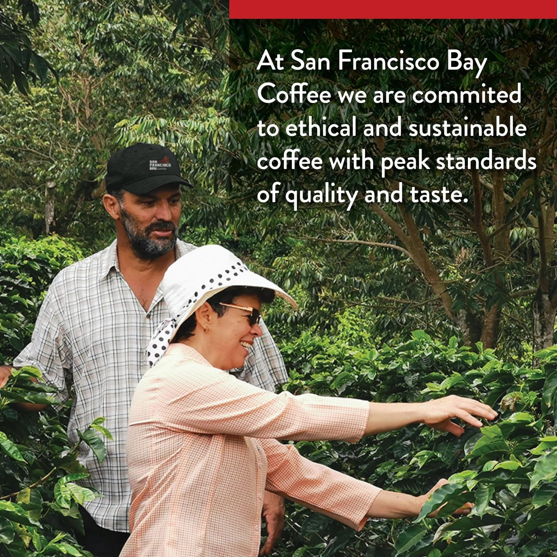 San Francisco Bay Coffee ground for quick brewing and consistent flavor