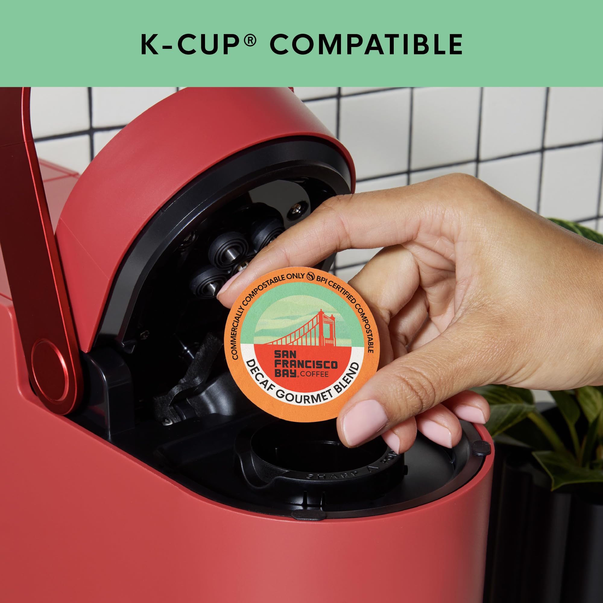 San Francisco Bay compostable pod shown with eco-friendly packaging.