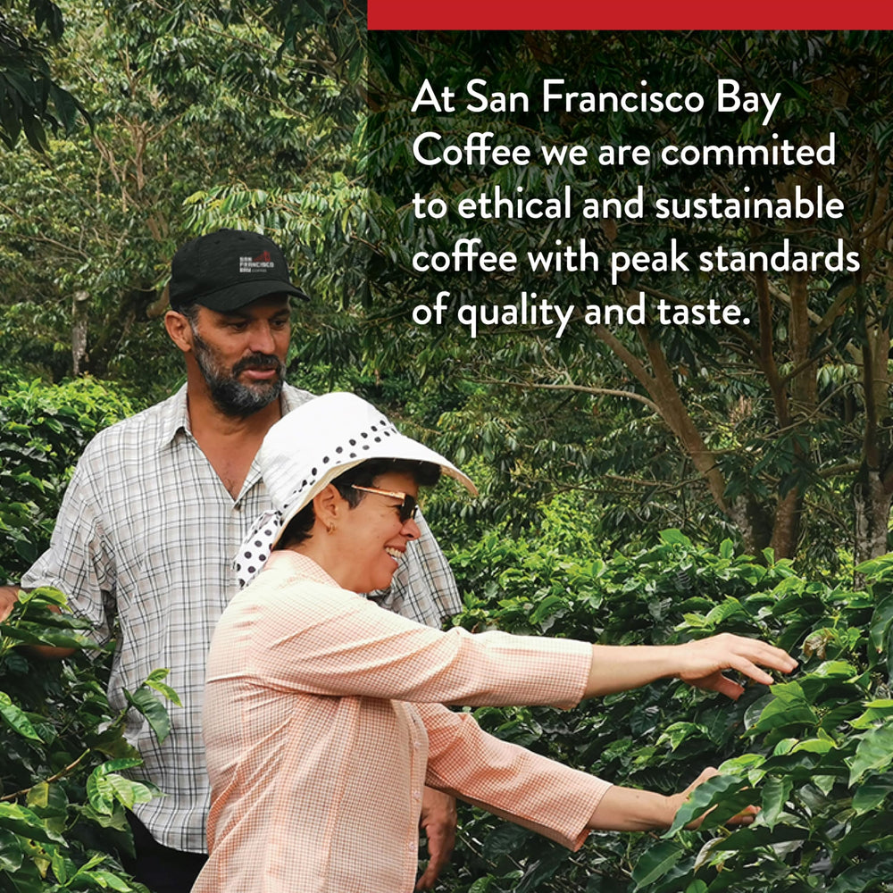 San Francisco Bay Decaf Gourmet Blend ground coffee near scoop-ready packaging for quick mornings