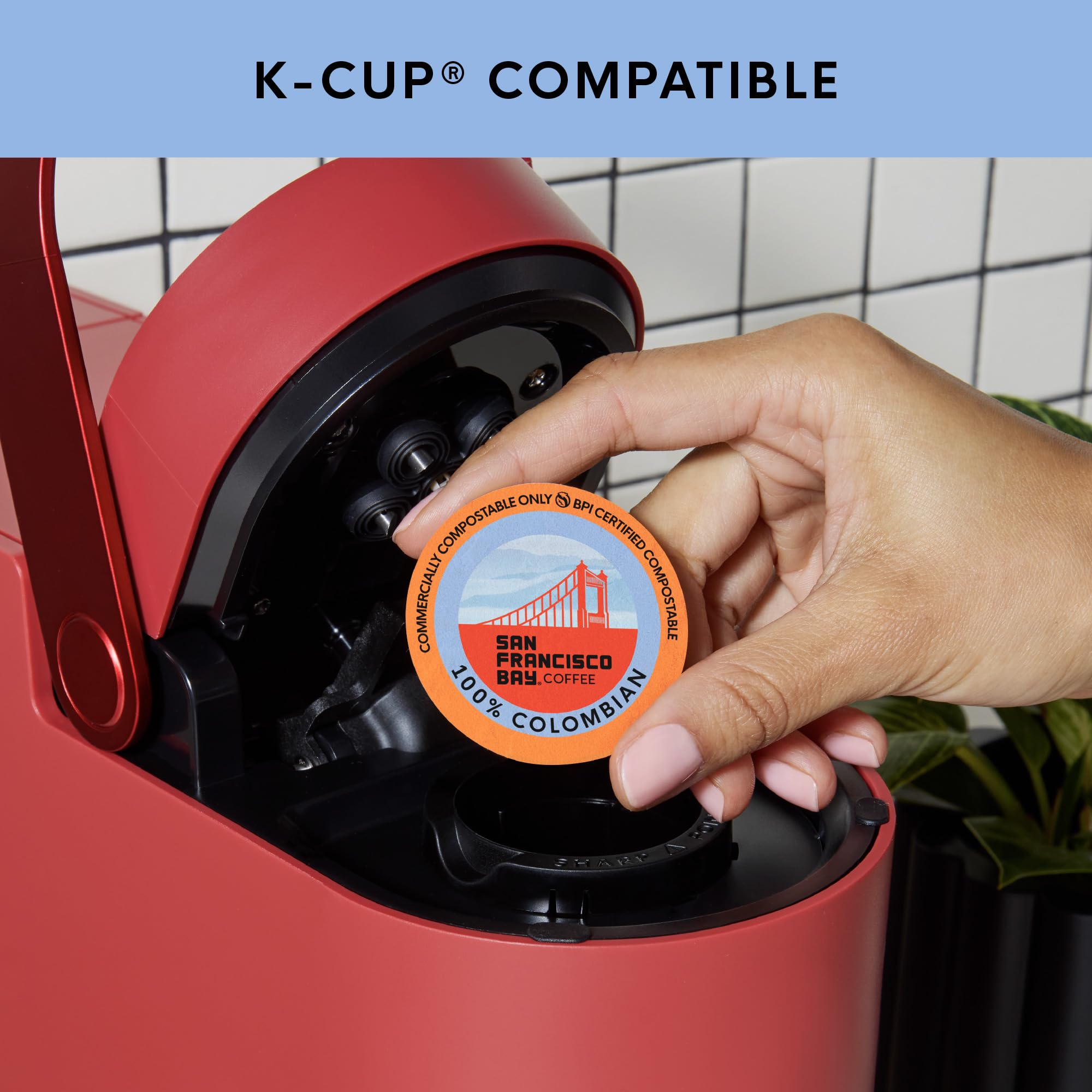San Francisco Bay K-Cup pods fit most single-serve brewers.