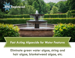 Sanco Fountain Algaecide green-water removal improves pond clarity.