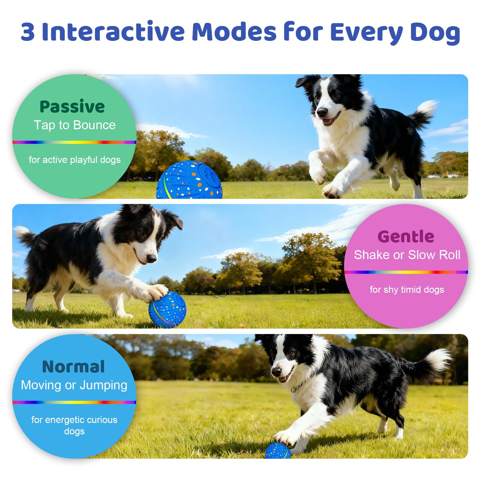Sankell three-mode ball adapts to gentle to active play for different dogs