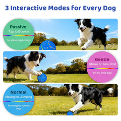 Sankell three-mode ball adapts to gentle to active play for different dogs