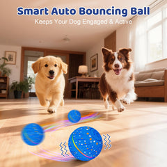 Sankell auto-bouncing dog ball demonstrates dynamic rolling for energetic pups