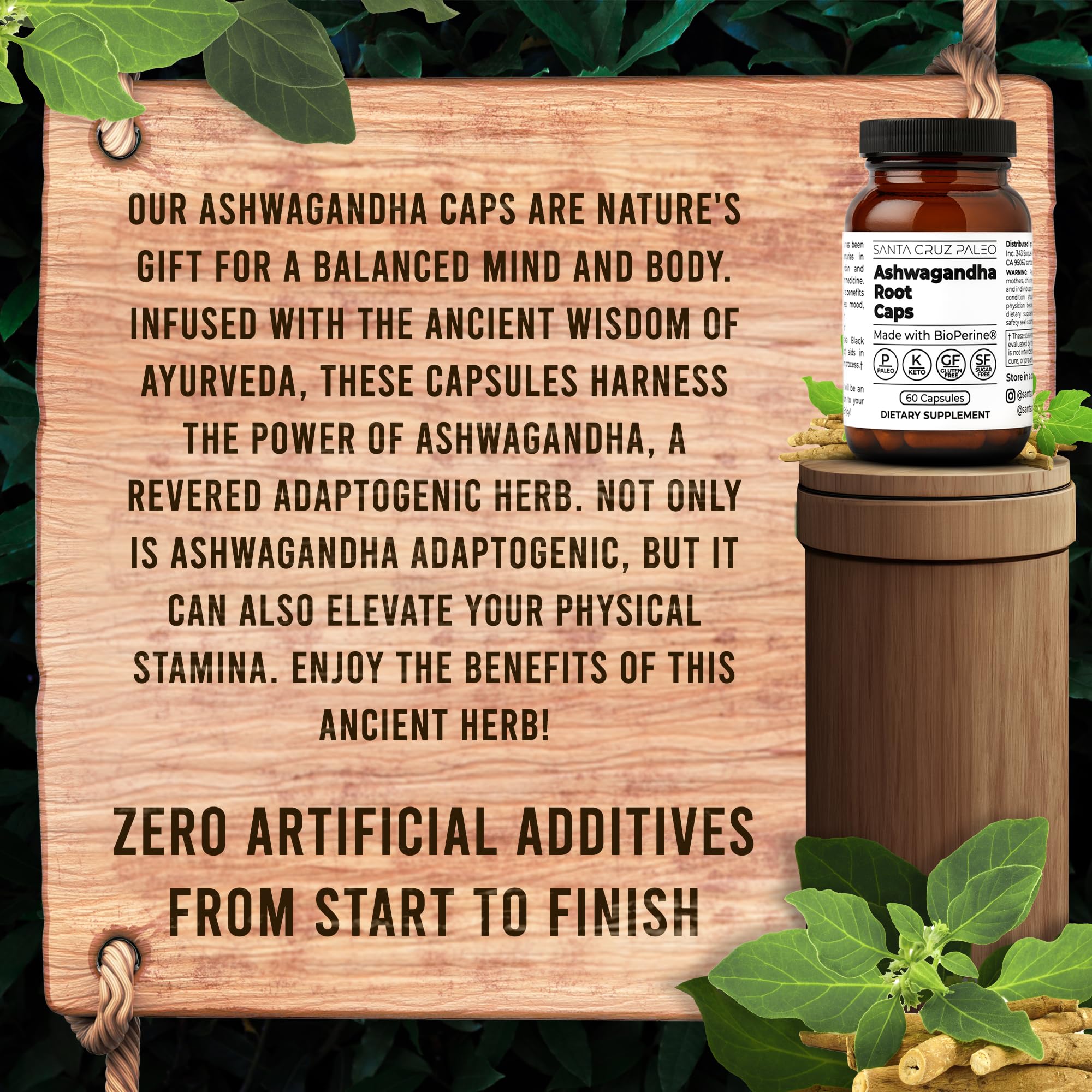 Santa Cruz Paleo BioPerine-boosted blend visual highlighting absorption.