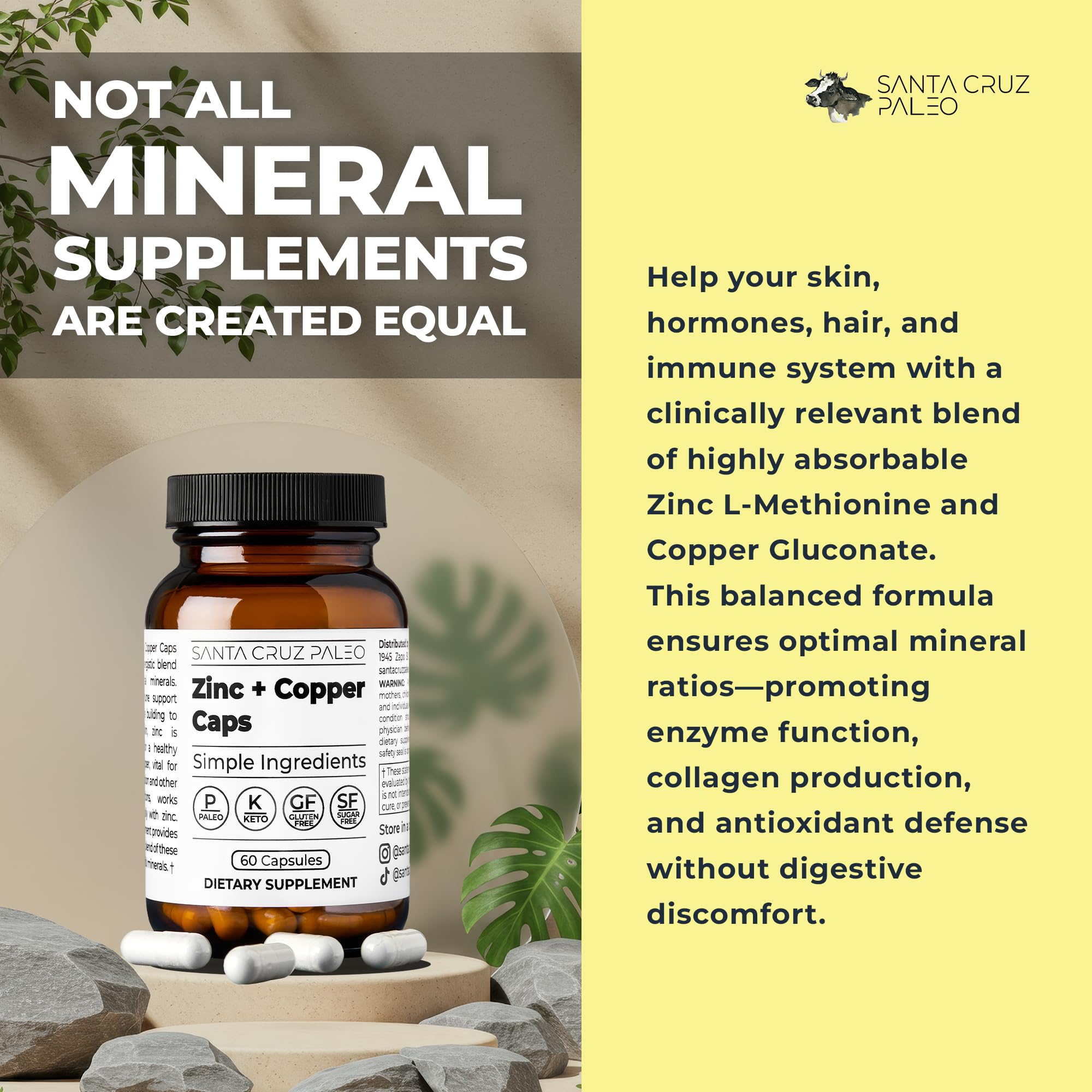 Santa Cruz Paleo capsule closeup reveals a vegetable capsule with zinc and copper.