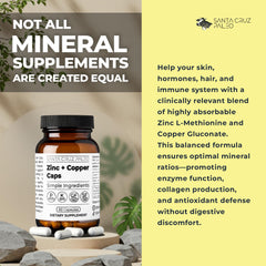 Santa Cruz Paleo capsule closeup reveals a vegetable capsule with zinc and copper.