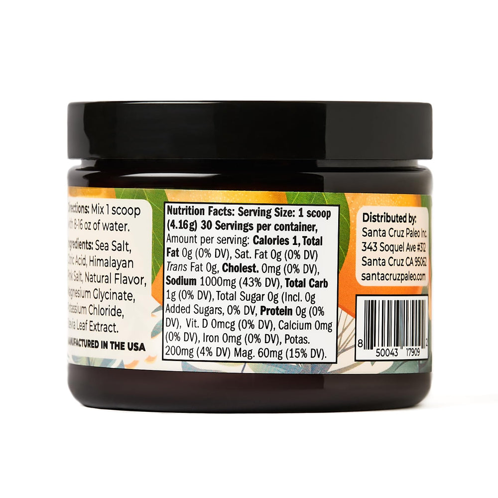 Santa Cruz Paleo Electrolyte Orange outer packaging box