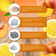 Scoop of Santa Cruz Paleo Electrolyte Powder shows easy, precise servings for hydration on the go