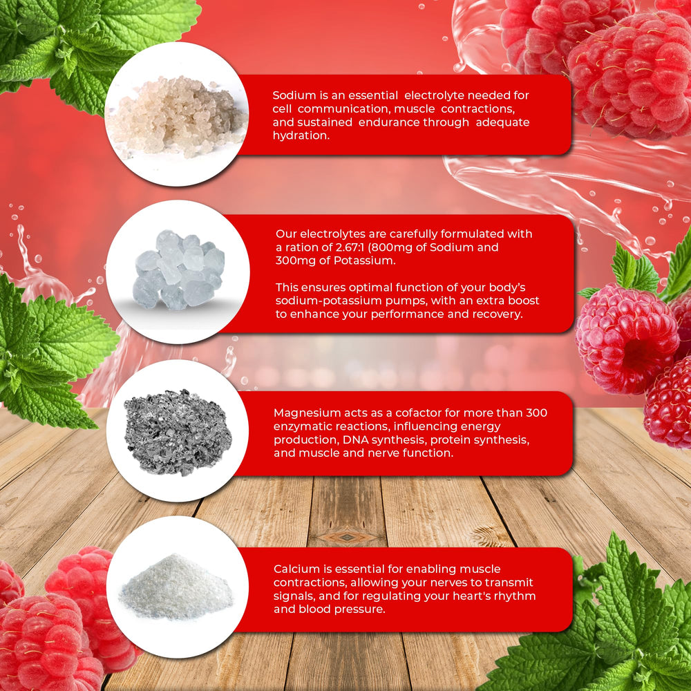 Santa Cruz Paleo Electrolyte Powder jar highlights mineral-rich formula for daily hydration