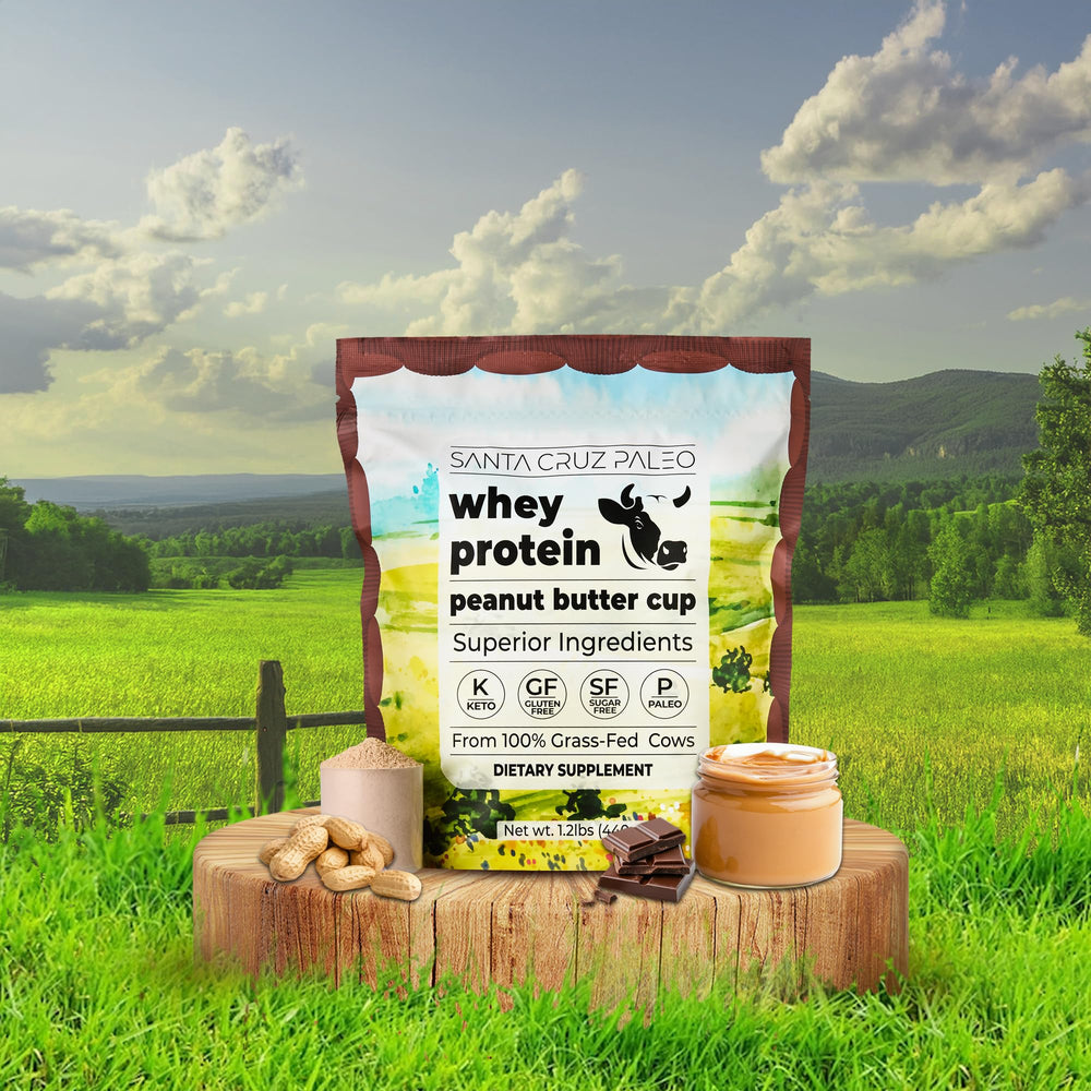 Blender ready Santa Cruz Paleo whey smoothie video-style shot.