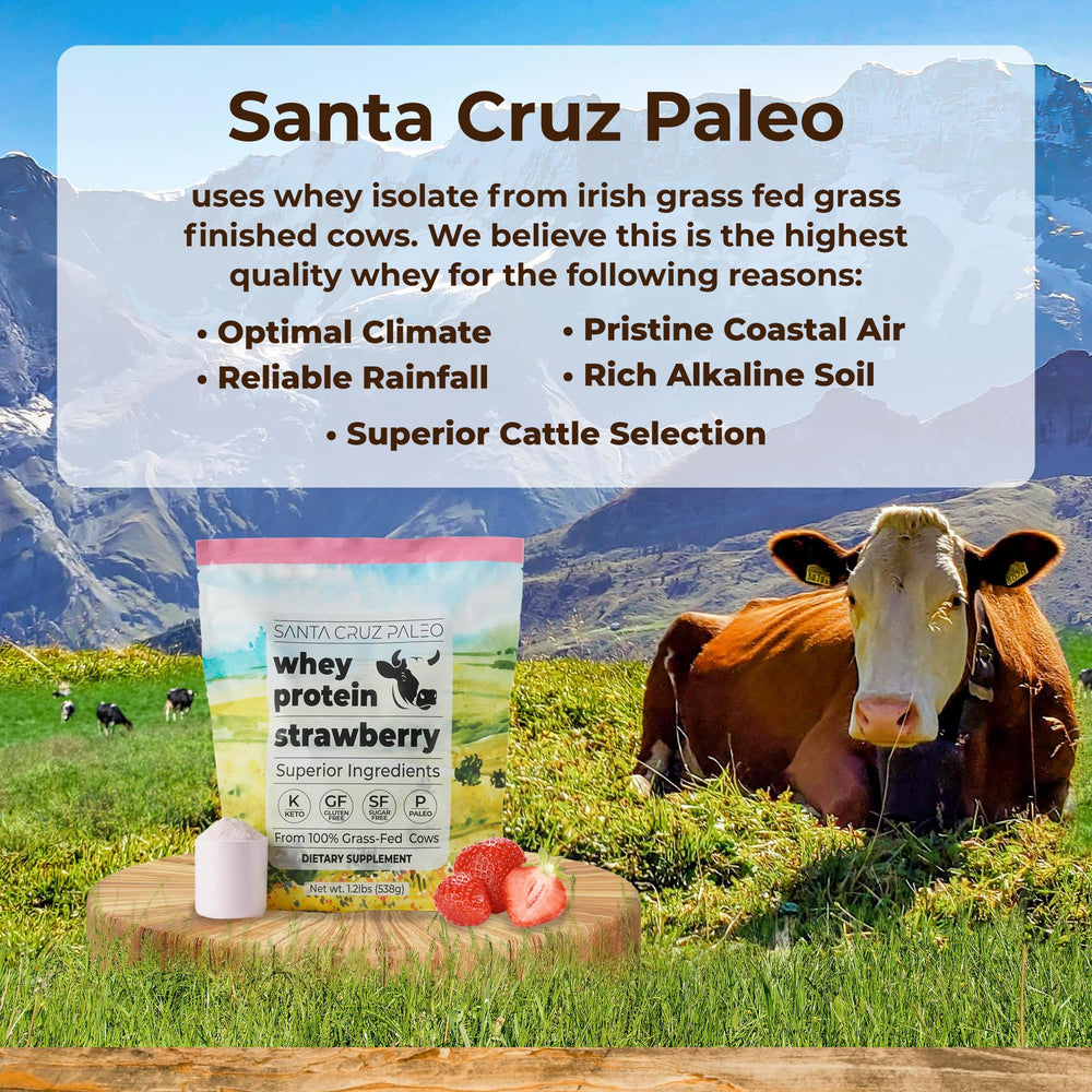 Close-up of strawberry powder texture in Santa Cruz Paleo whey.