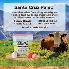 Close-up of strawberry powder texture in Santa Cruz Paleo whey.