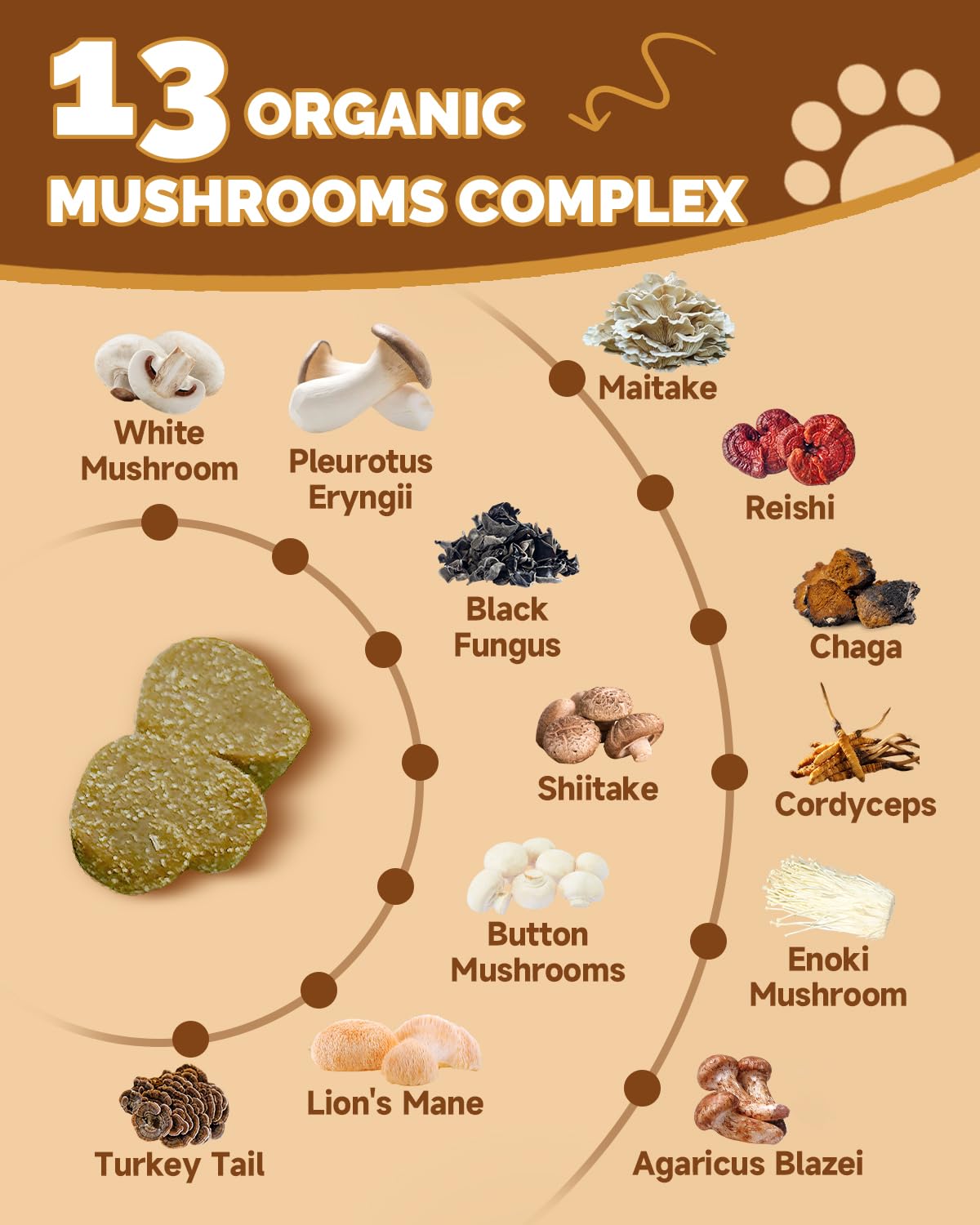 SANTKOL Mushrooms for Dogs reishi-shiitake visual highlights immune-supporting ingredients.