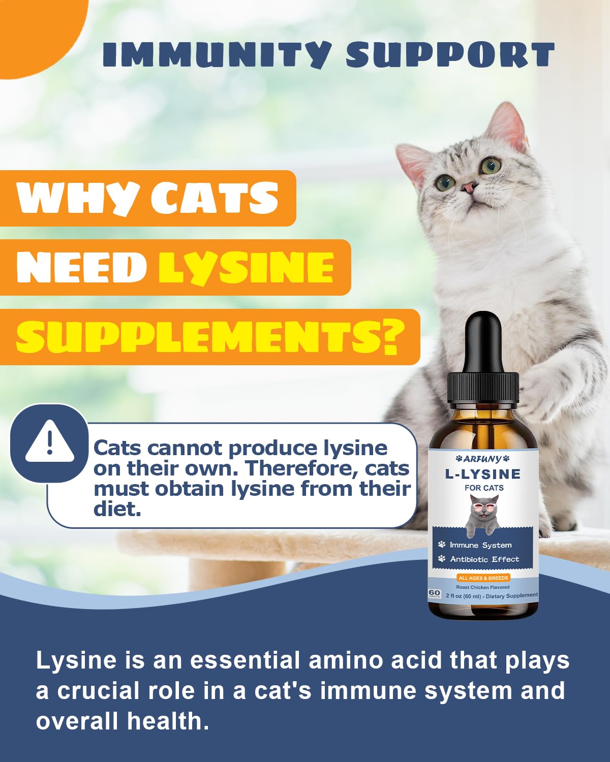 SANTKOL L-Lysine Drops emphasizing eye health support for cats