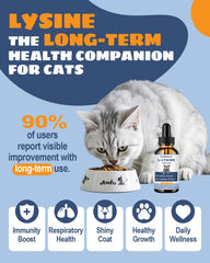 SANTKOL Drops highlighting respiratory support to ease feline sneezing
