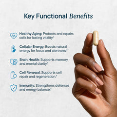 Santo Remedio NAD+ label close-up confirms key ingredients