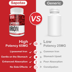 Sapotax Liposomal Iron absorption diagram highlighting enhanced uptake