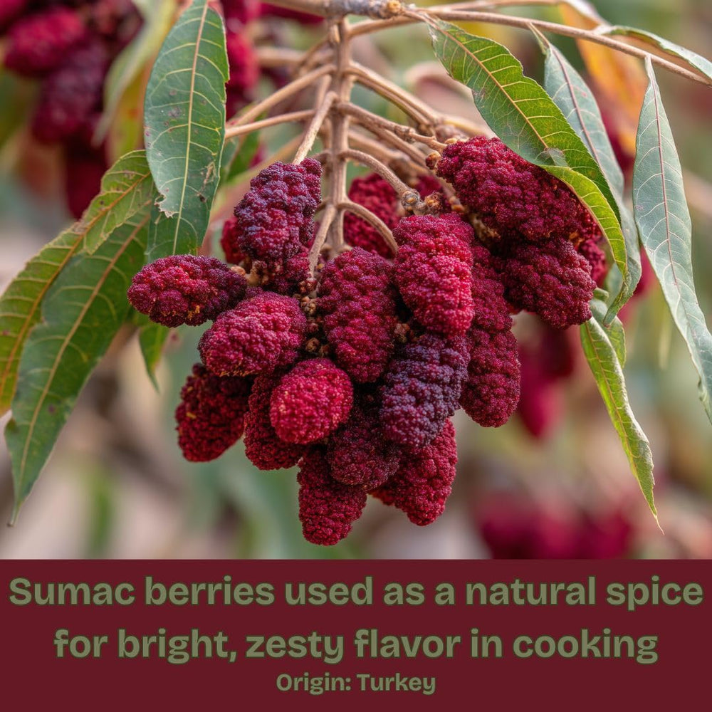 SavorSatch sumac kebab seasoning enhances grilled skewers with lemony tartness.