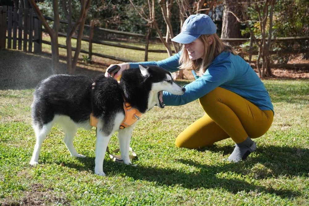 Sawyer Permethrin-treated seat covers and dog bed protect fabric from insects.