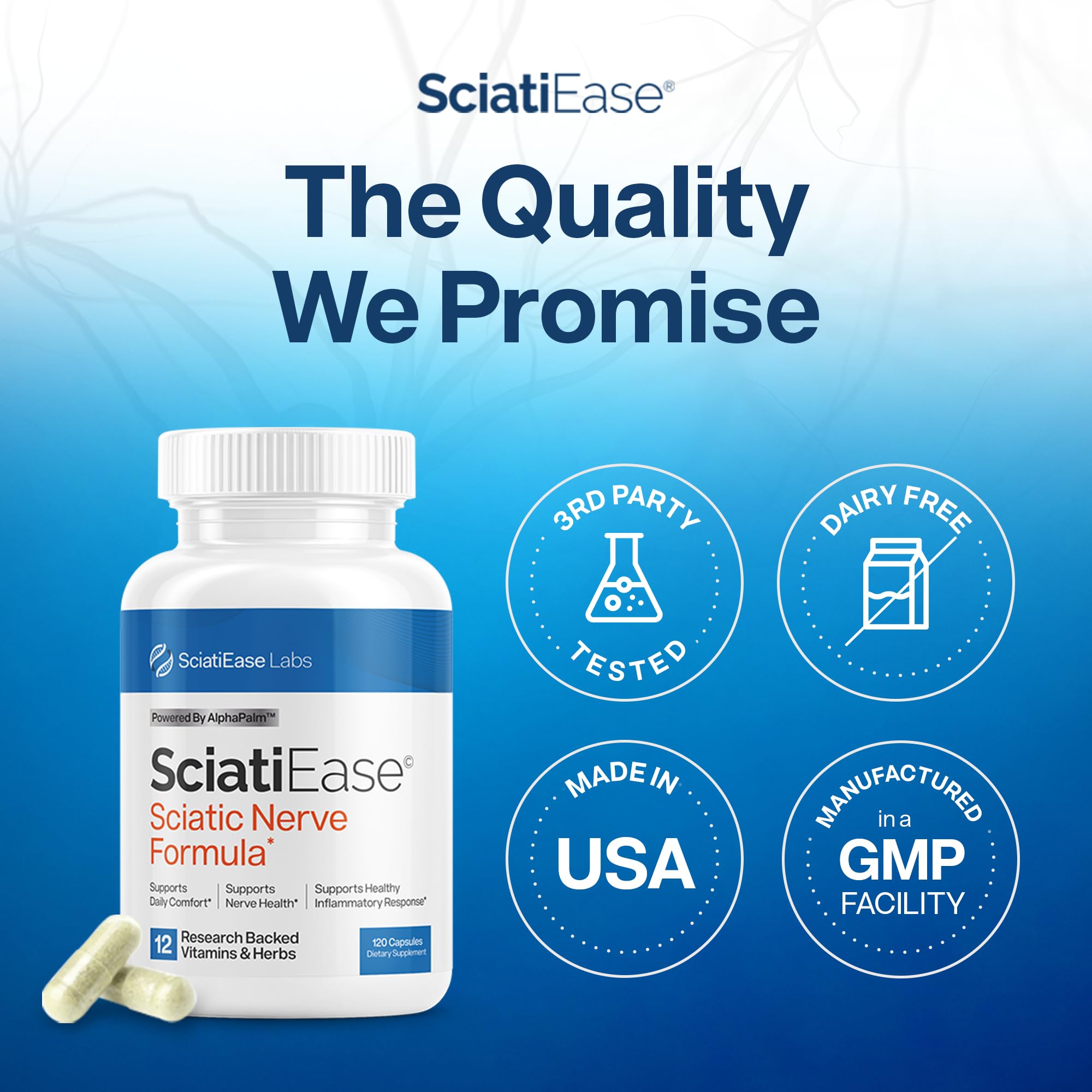 SciatiEase B complex vitamins section as part of daily nerve health.