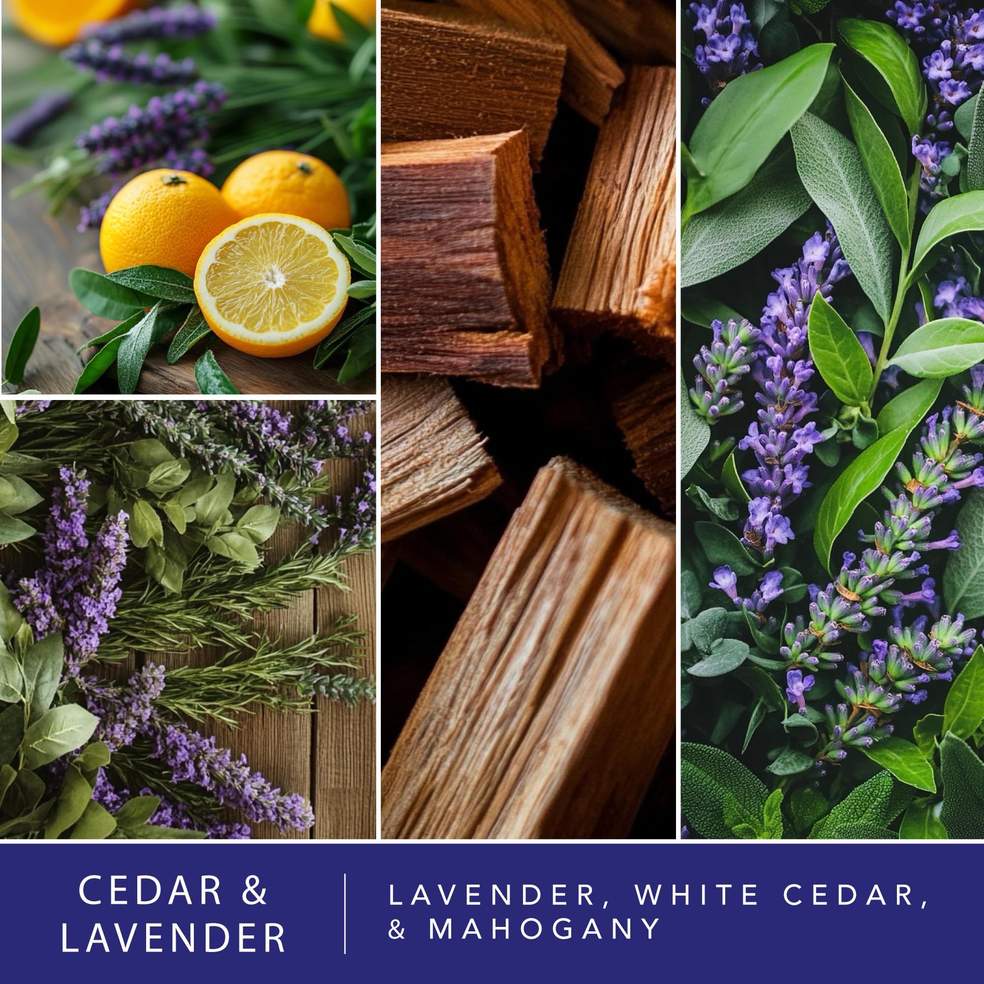 Scentsationals strong fragrance wax cubes releasing lasting scent throughout living areas