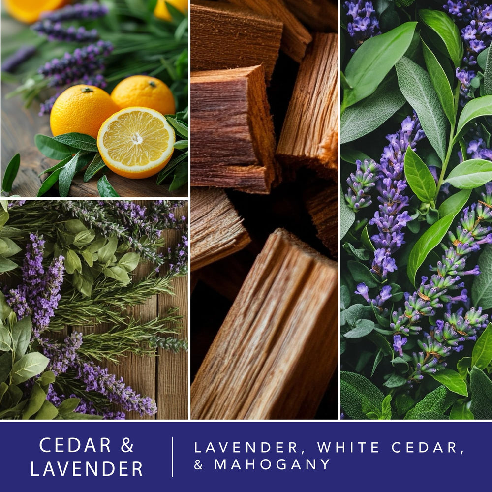 Scentsationals strong fragrance wax cubes releasing lasting scent throughout living areas