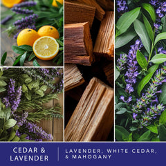 Scentsationals strong fragrance wax cubes releasing lasting scent throughout living areas