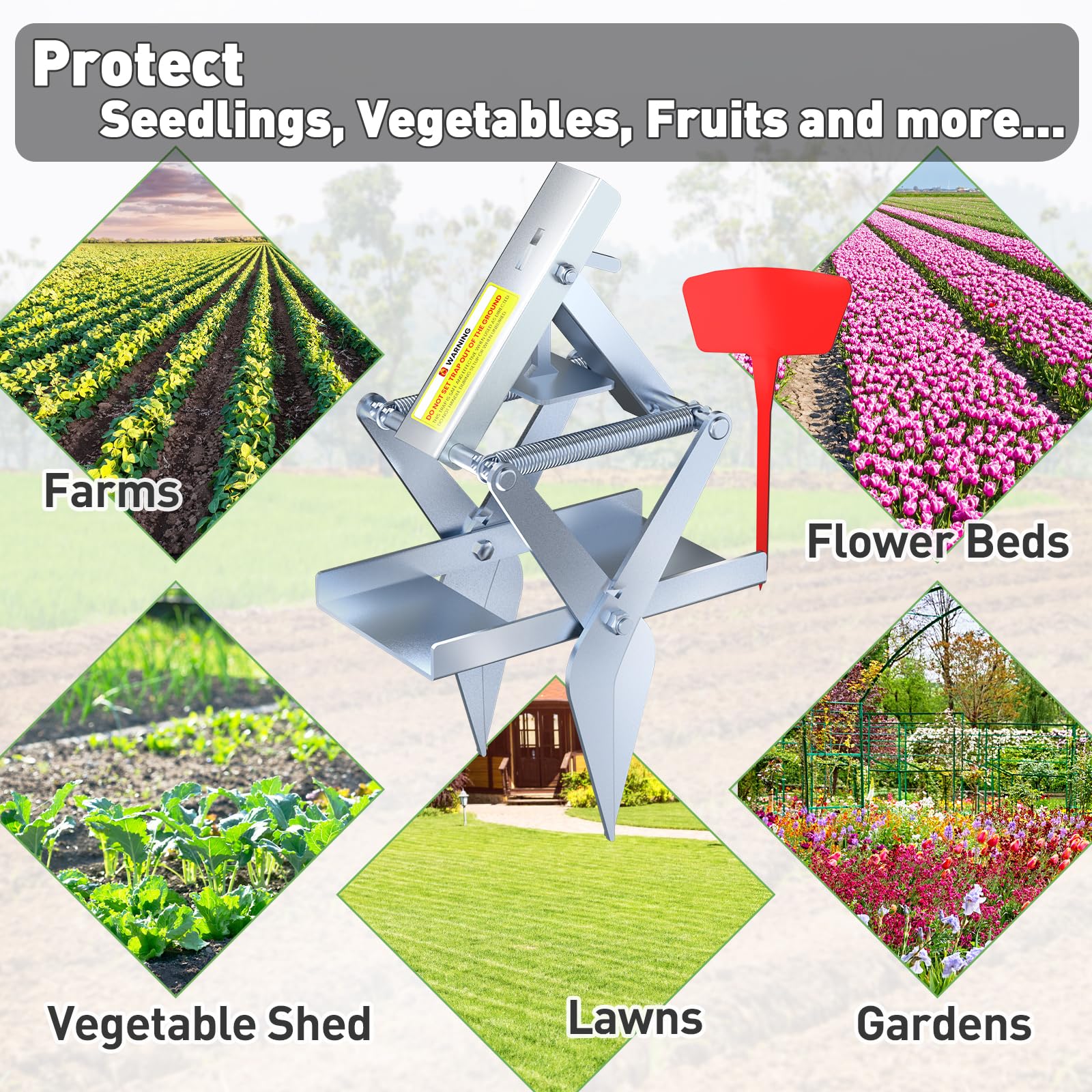 Schadro Mole Trap poultry-pet safe feature preventing above-ground triggers