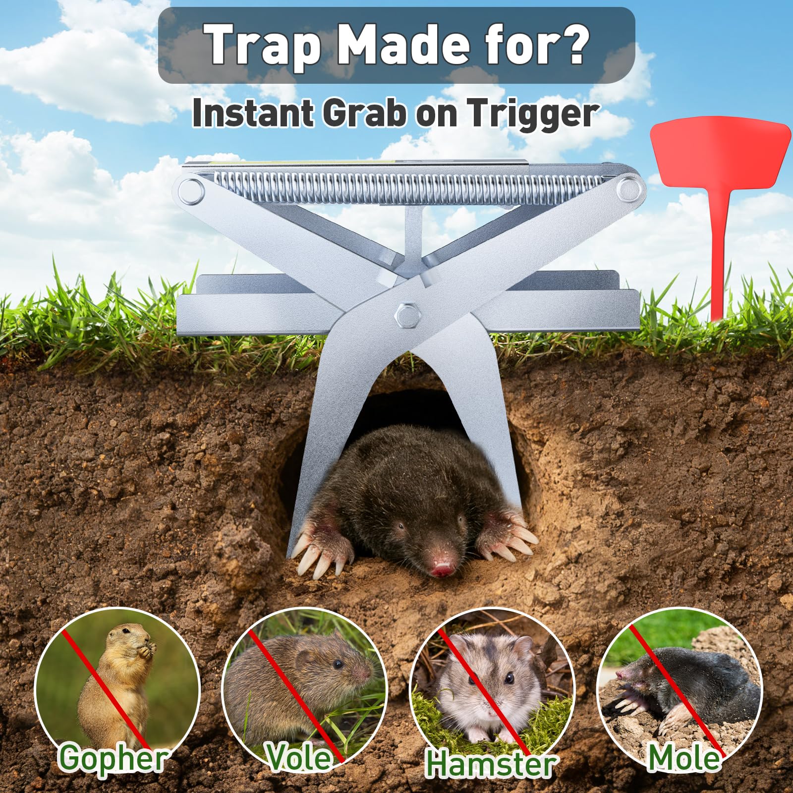 Schadro Mole Traps setting action demonstrating effortless one-minute installation