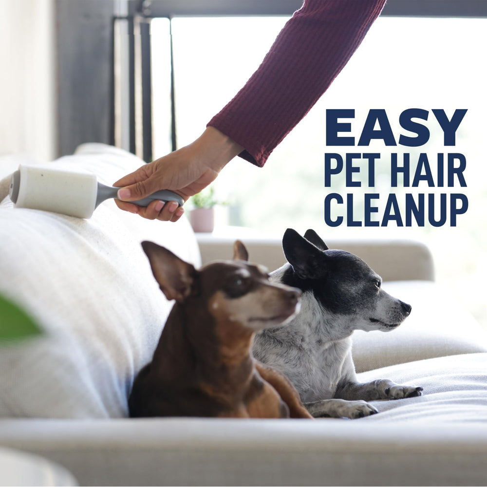 Scotch-Brite lint roller removes pet hair from clothing and furniture