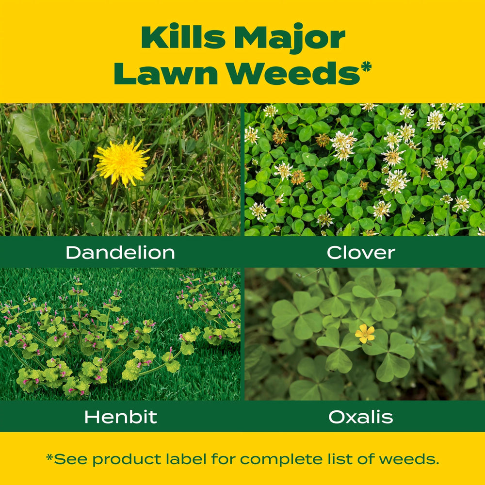 Scotts broadleaf weed killer in action targeting common lawn weeds.