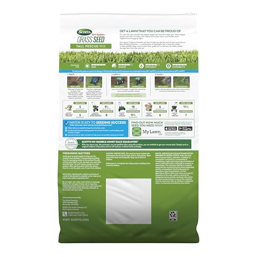 Daily watering after Scotts Tall Fescue seed supports healthy seedlings