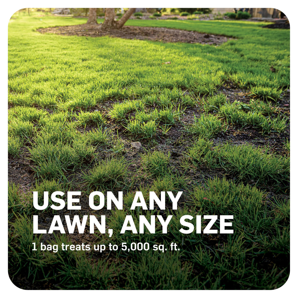 Lawn-care routine featuring Scotts DiseaseEx for ongoing disease management.