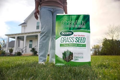 Lush green lawn after Scotts Turf Builder shows steady progress