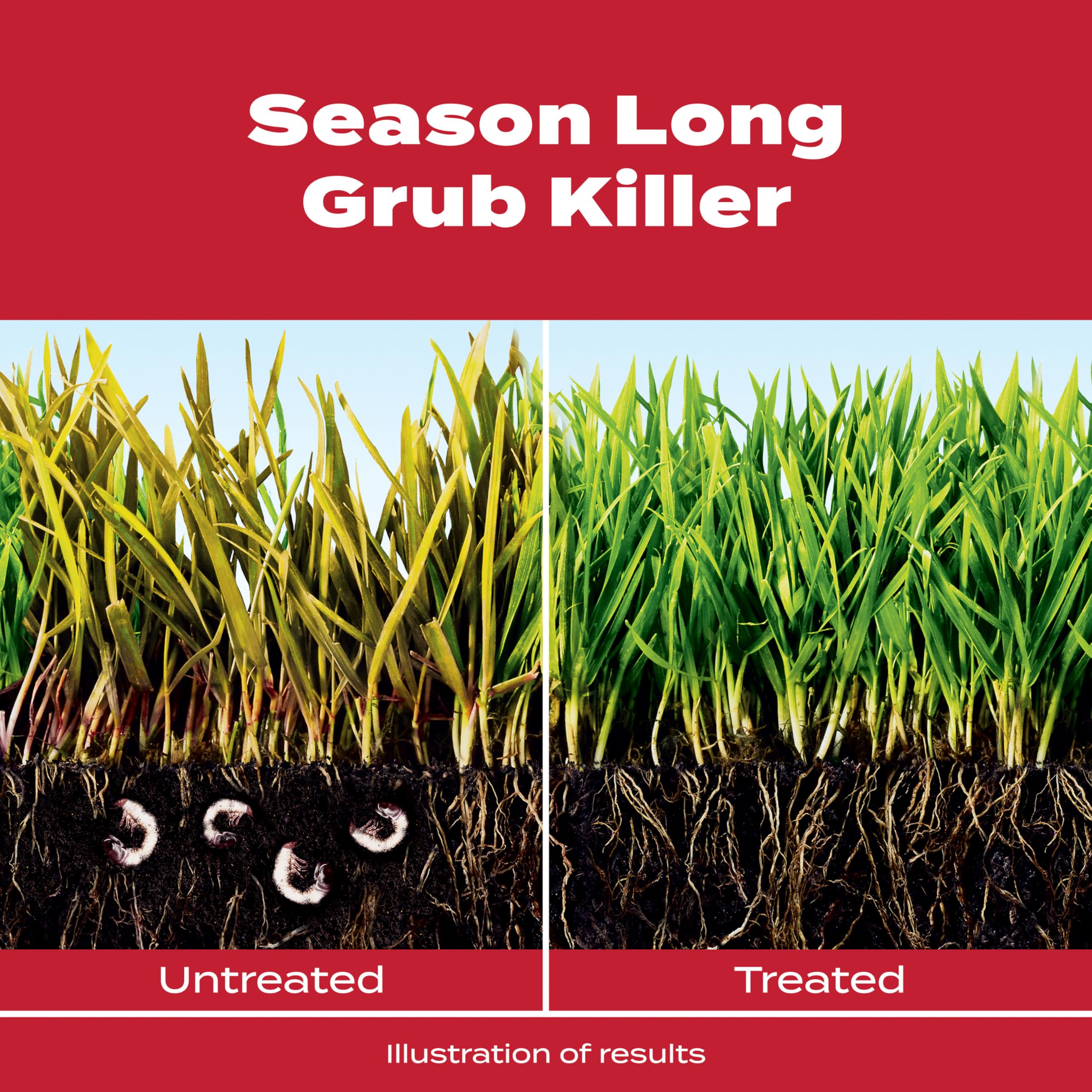 Scotts GrubEx1 granular spread on a dry lawn provides season-long grub control.