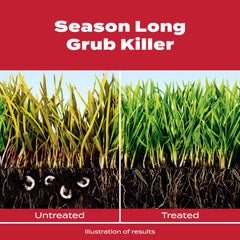 Scotts GrubEx1 granular spread on a dry lawn provides season-long grub control.
