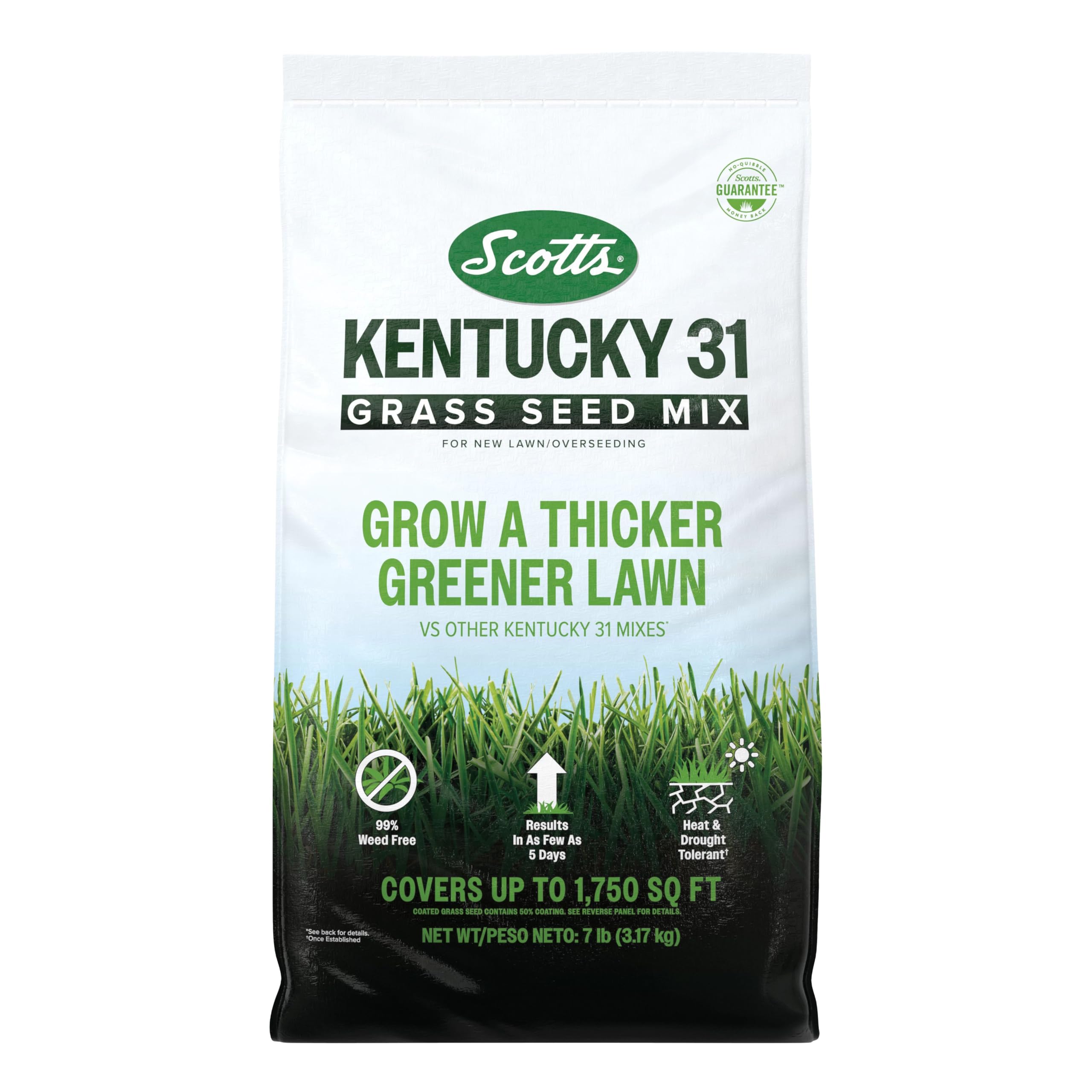 Scotts Kentucky 31 Grass Seed Mix bag displaying blend for thicker, greener lawn.