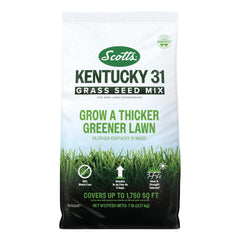 Scotts Kentucky 31 Grass Seed Mix bag displaying blend for thicker, greener lawn.