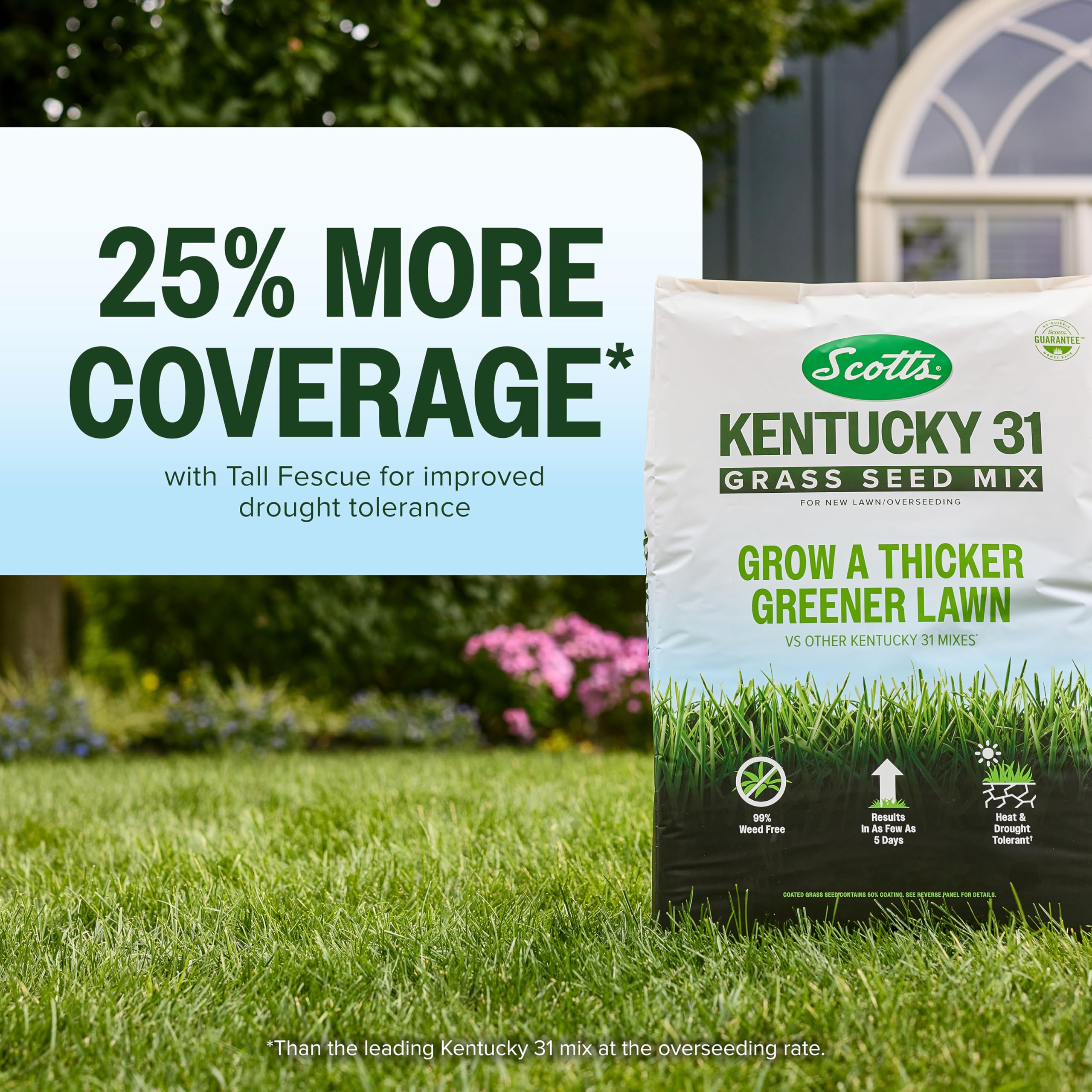 Scotts Kentucky 31 Tall Fescue blend highlights durability and low maintenance.