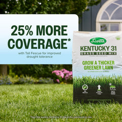 Scotts Kentucky 31 Tall Fescue blend highlights durability and low maintenance.