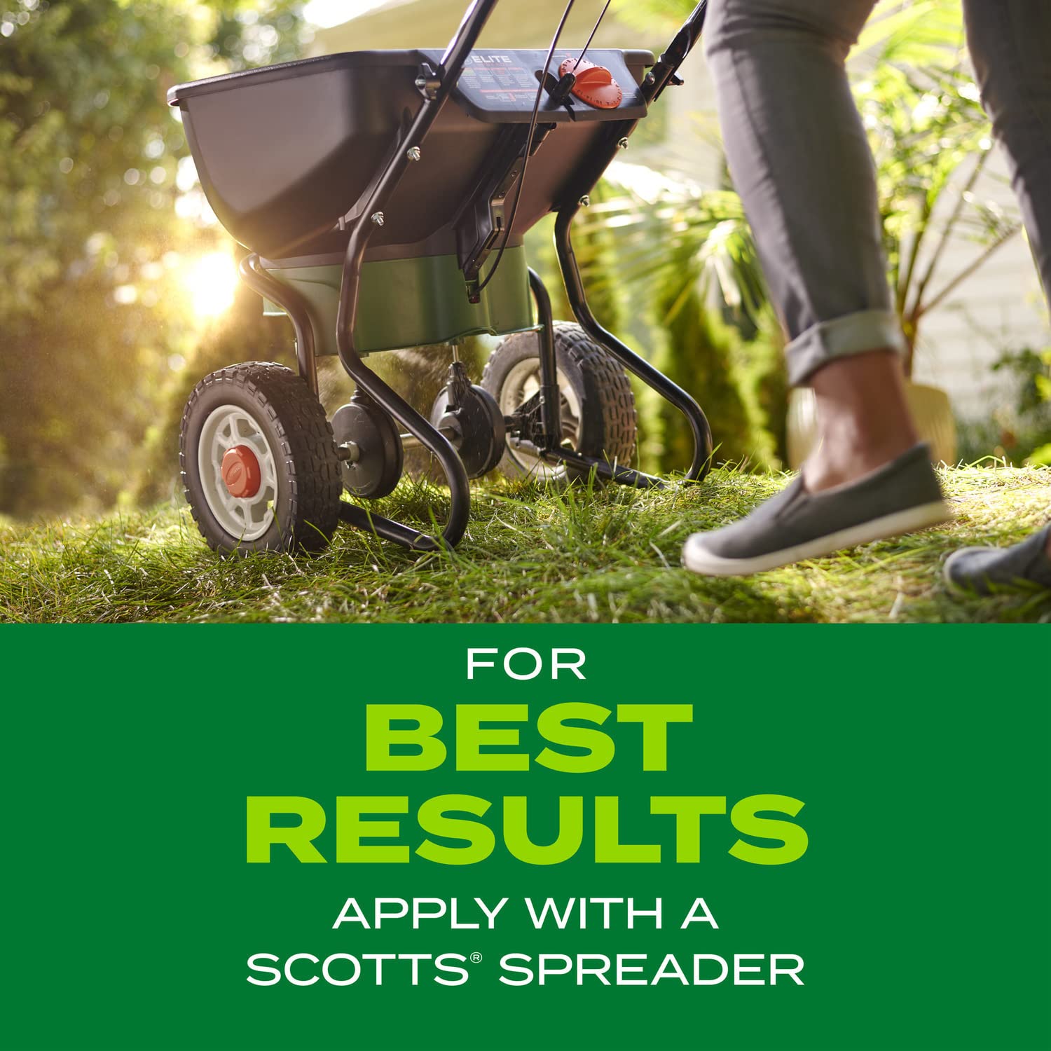 Scotts Lawn Food every 8 weeks supports ongoing thickness and vigor.