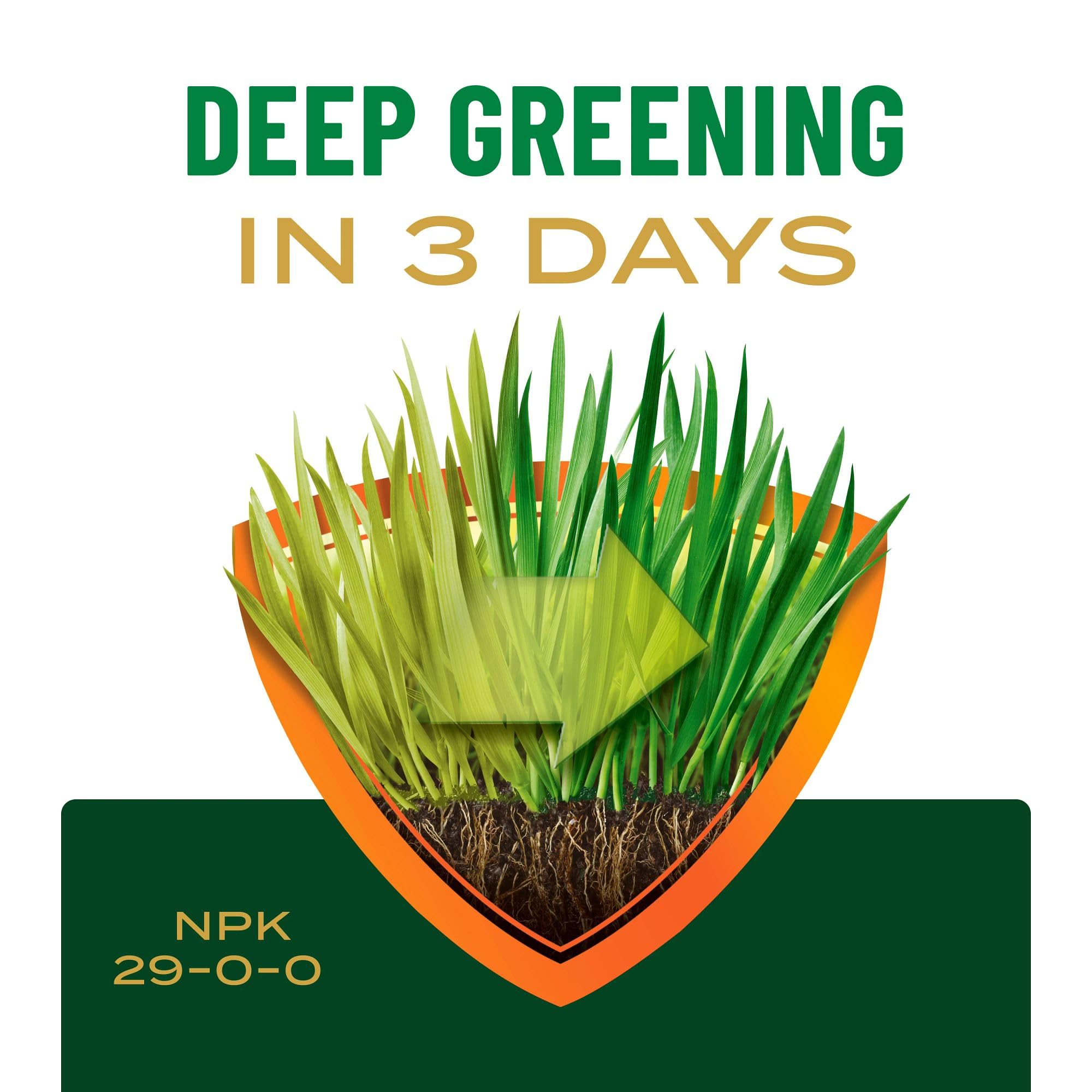 Iron-supplemented Scotts lawn food contributing to deeper green color.