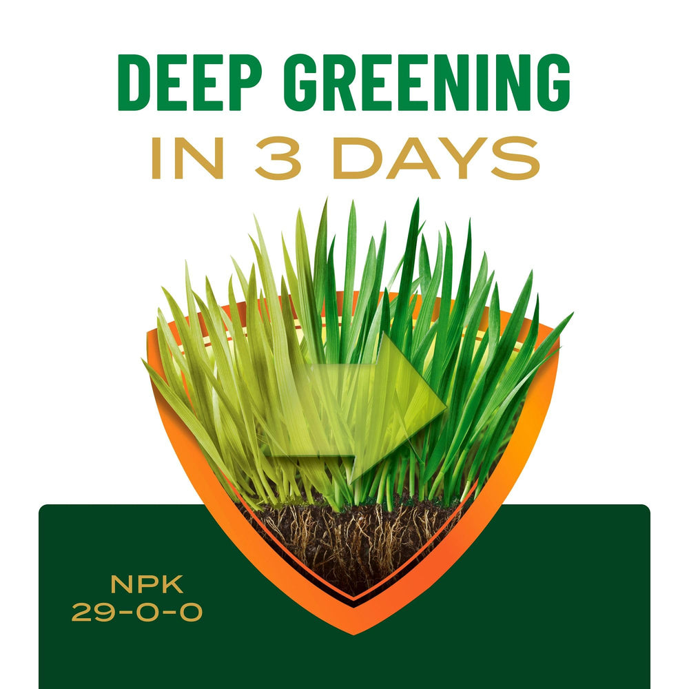 Iron-supplemented Scotts lawn food contributing to deeper green color.