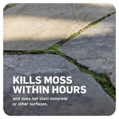 Scotts MossEx 3-in-1 Ready Spray kills moss, algae, lichens on sidewalks and patios.