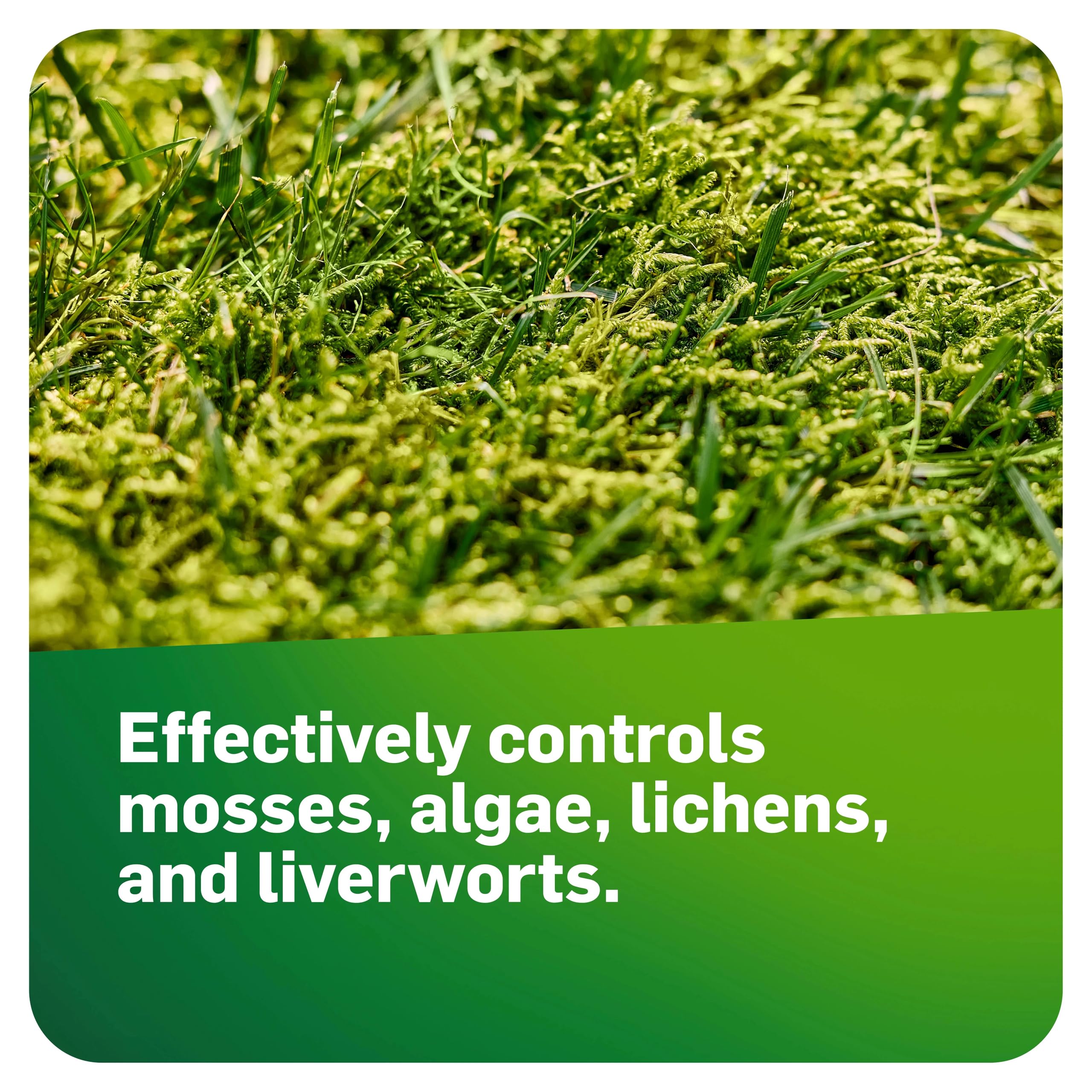 Scotts MossEx 3-in-1 Ready Spray suitable for lawns, patios, roofs and more.