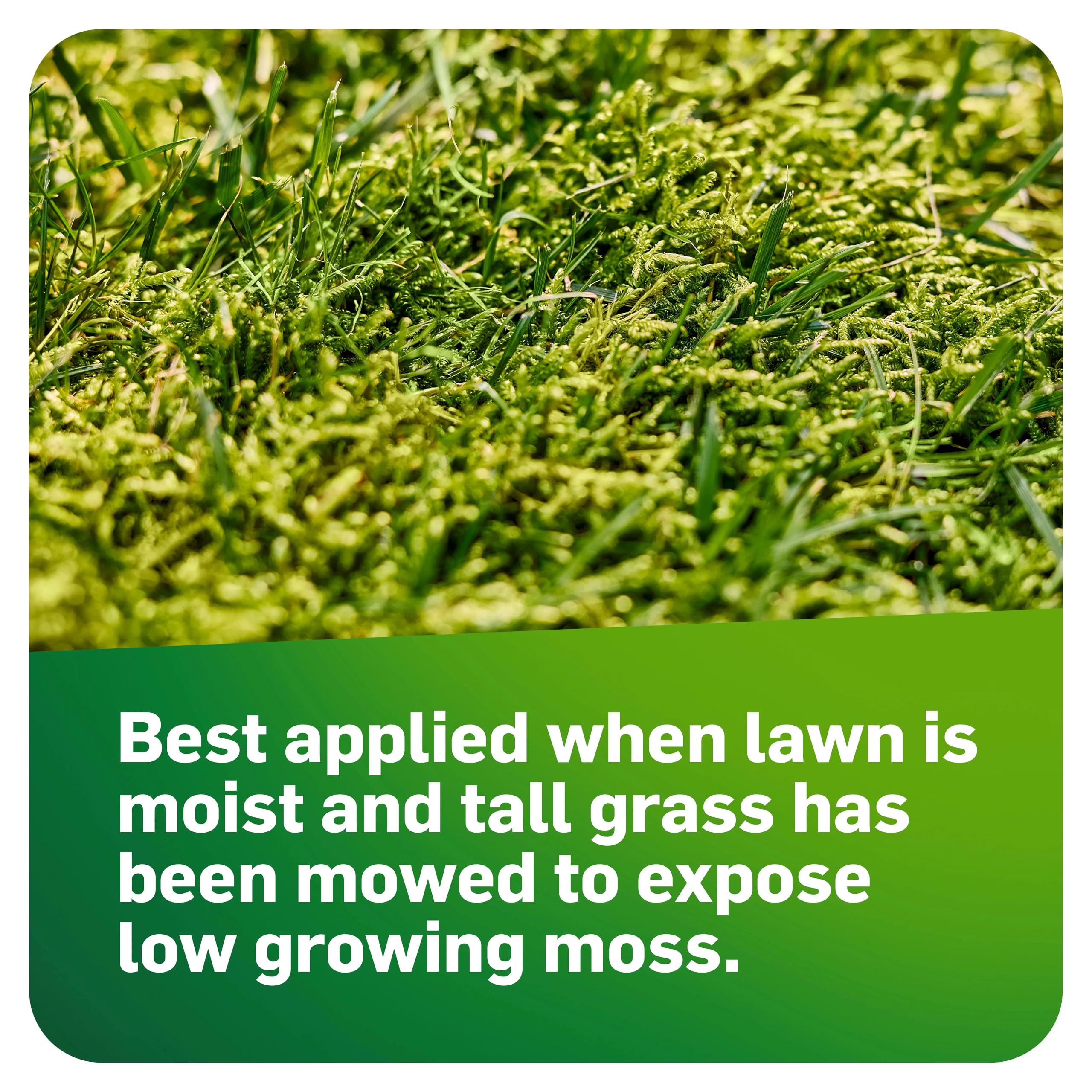 Lawn coverage view showing 1,250 sq ft per jug.