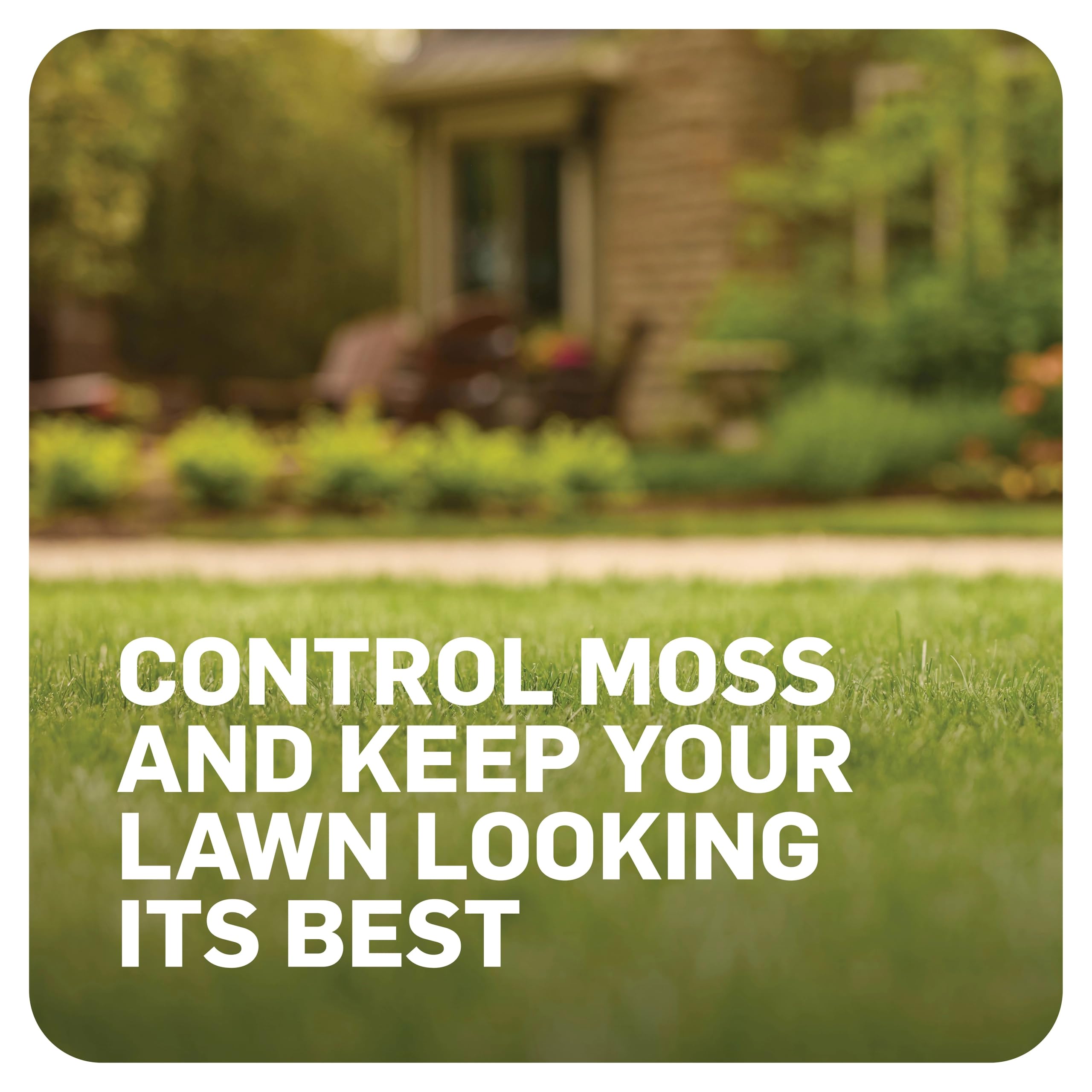 Moist lawn condition with MossEx ready to apply for better uptake.
